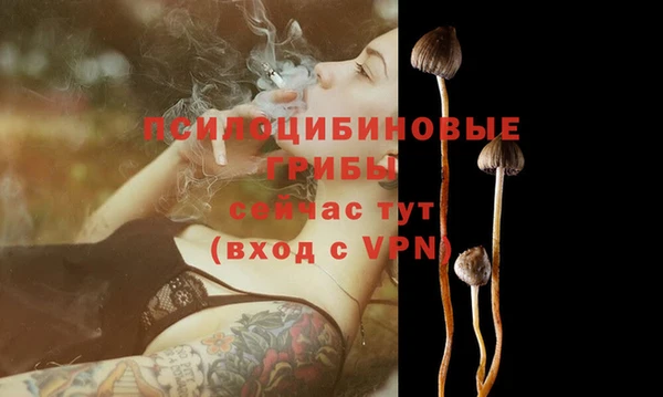 бошки Краснотурьинск