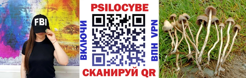 Купить  Белогорск  Псилоцибиновые грибы прущие грибы 